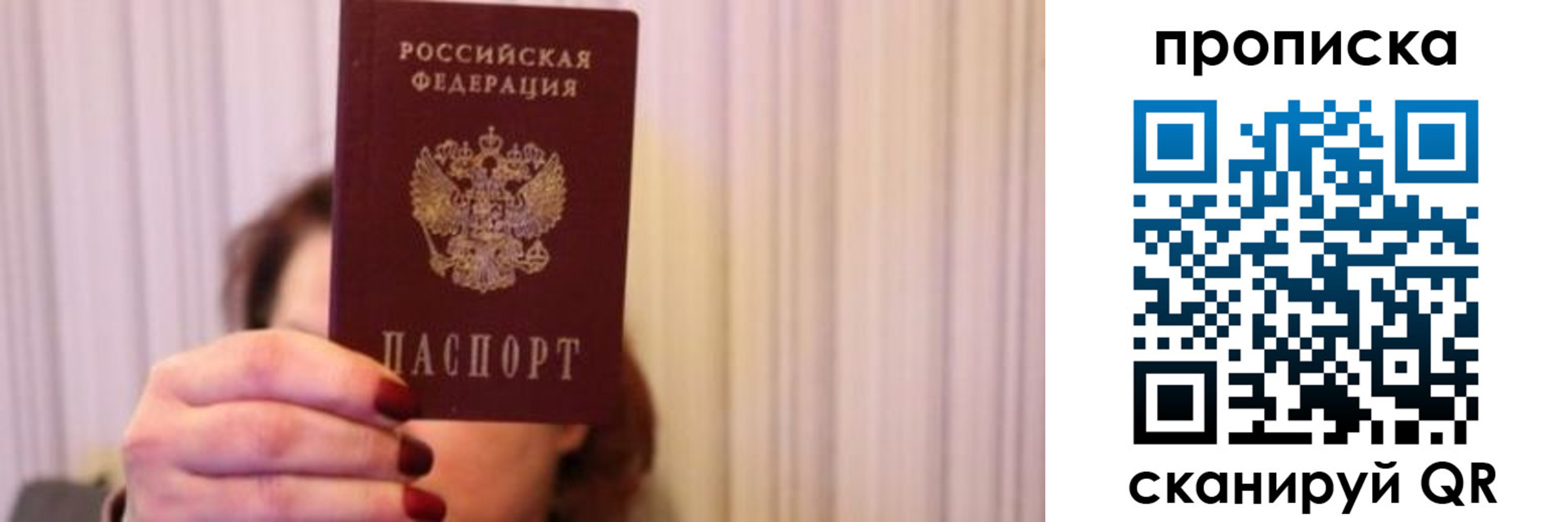 прописка поиск в Торопеце